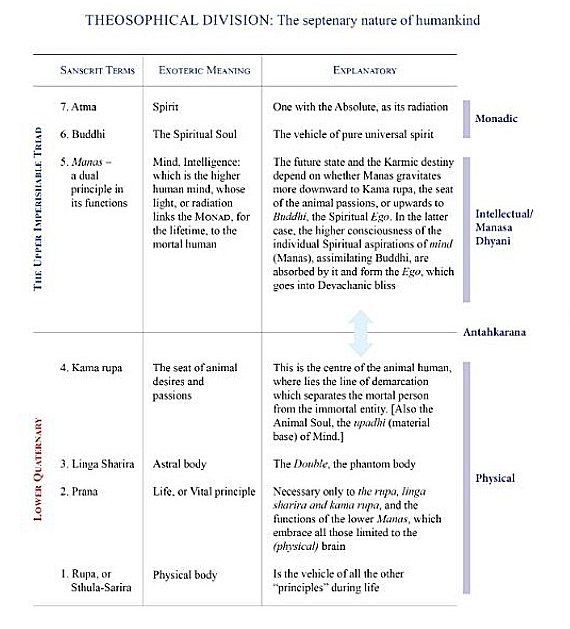 Diagram of 7 principles